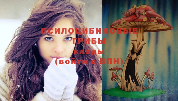 герыч Нея