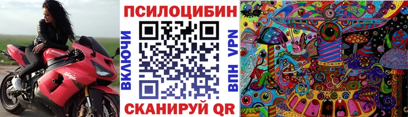 Купить где  Шумерля  Псилоцибиновые грибы Psilocybe 